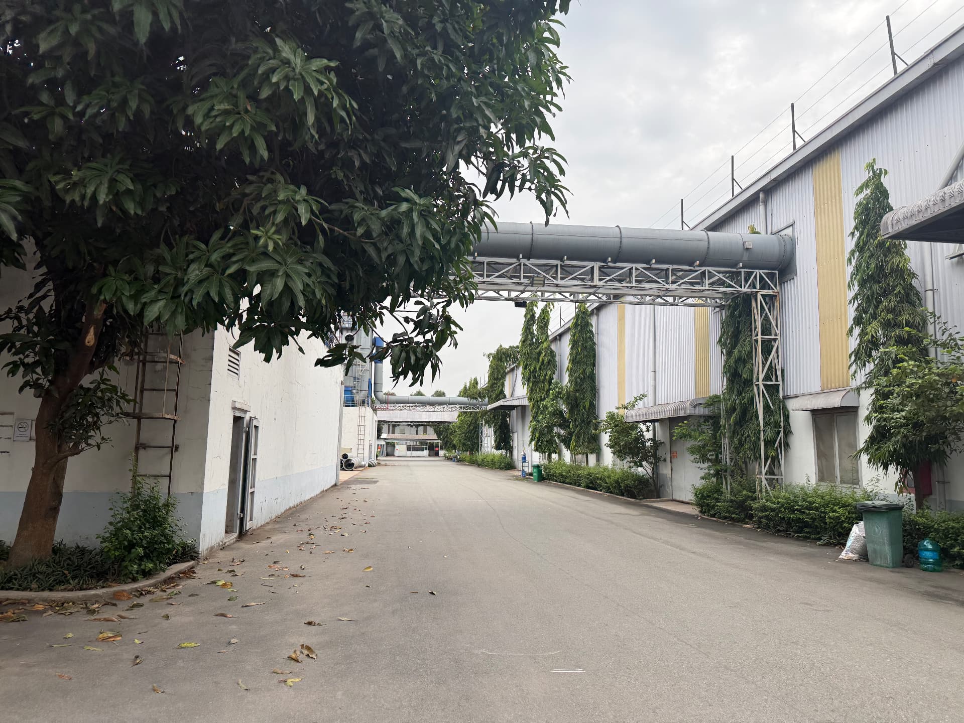 Pipe bridge crossing a lane inside the VIET BI facility