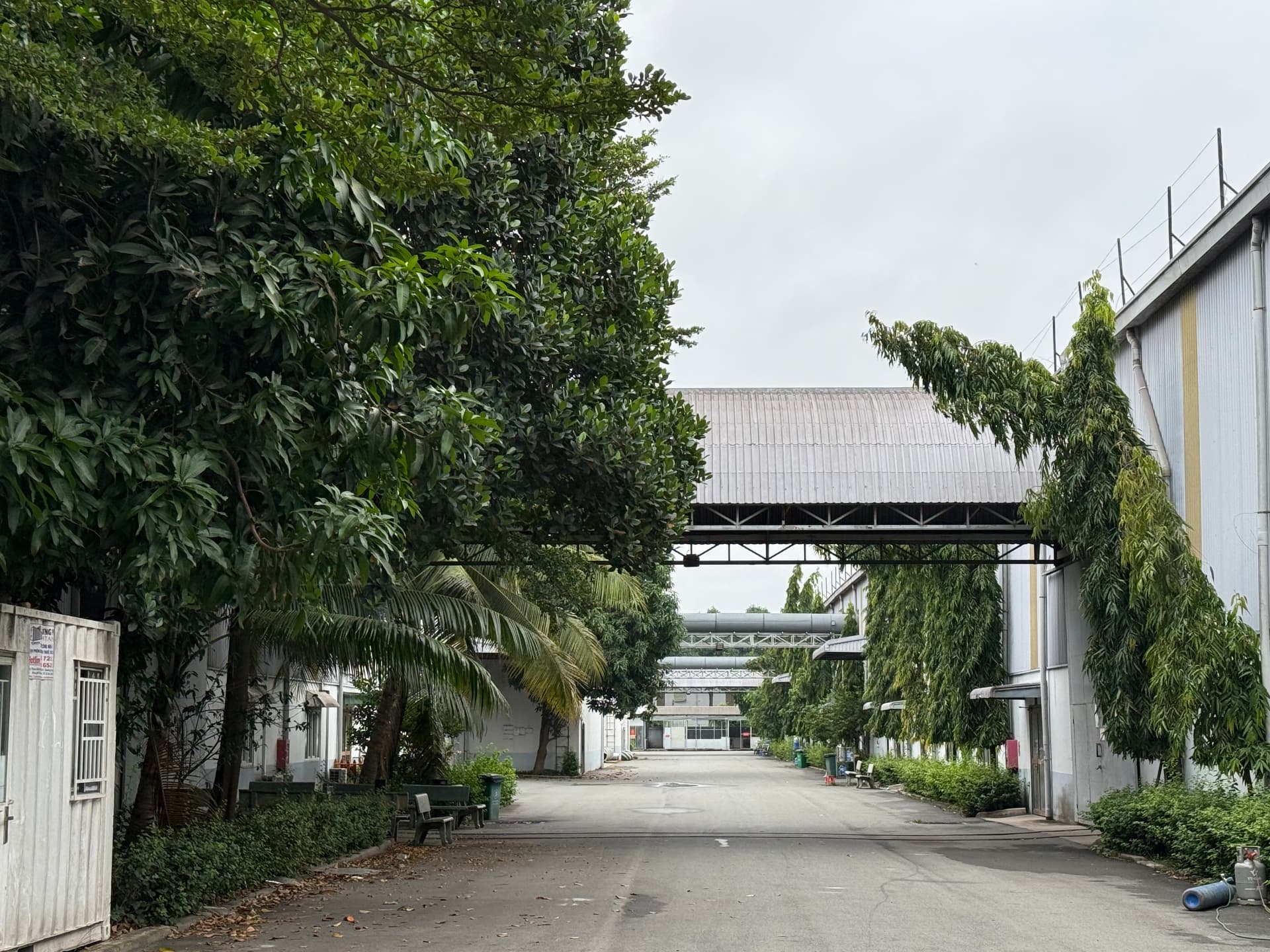 Tree-lined roadway through the VIET BI industrial facility