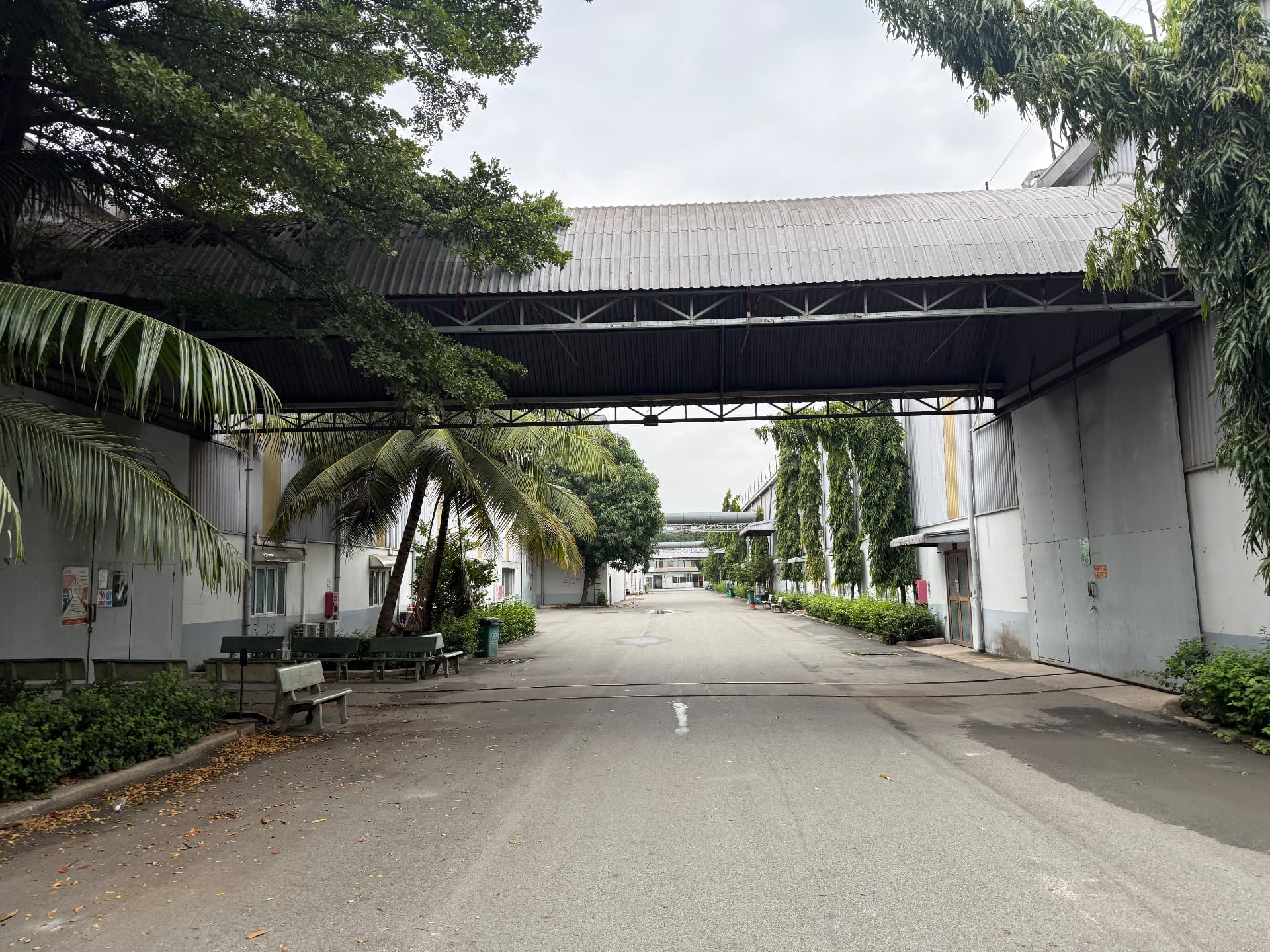 Covered walkway and palm trees inside the VIET BI facility